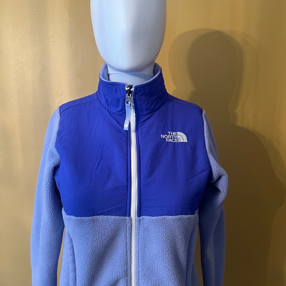 The North Face Blue Fleece Jacket